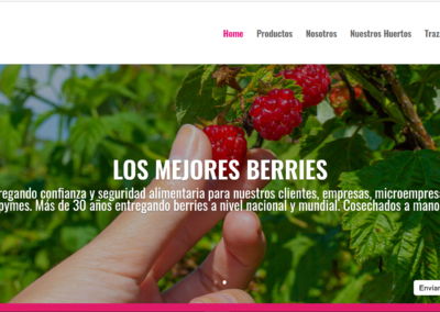 Berries Araucania
