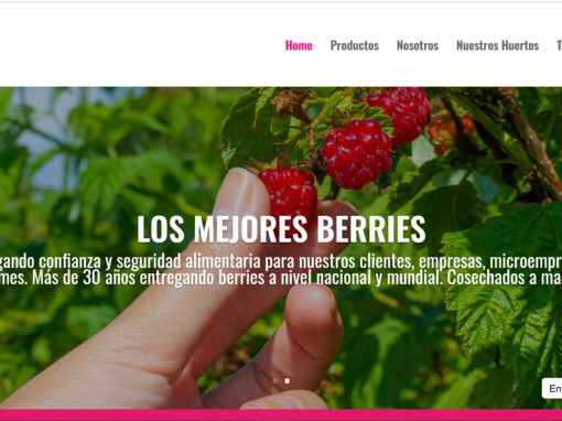 Berries Araucania